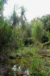 photo 926387