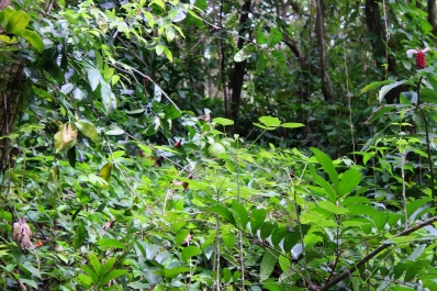photo 926393