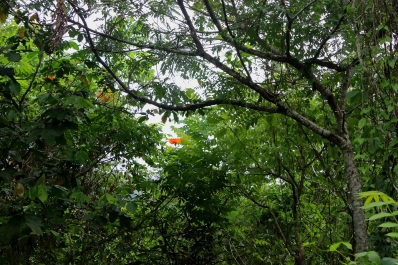 photo 926416