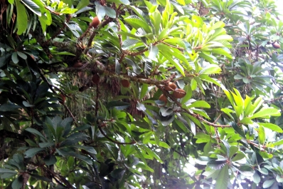 photo 926419