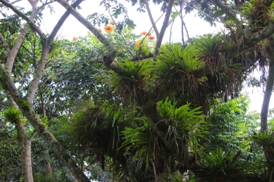 photo 926425