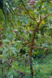 photo 926431