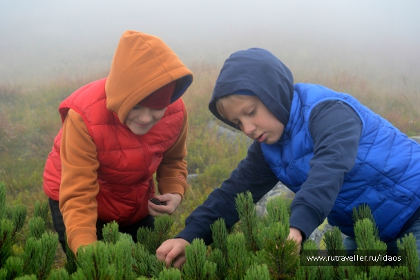 photo 772969