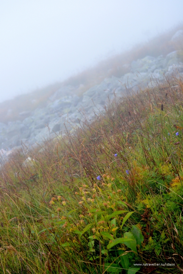 photo 772979