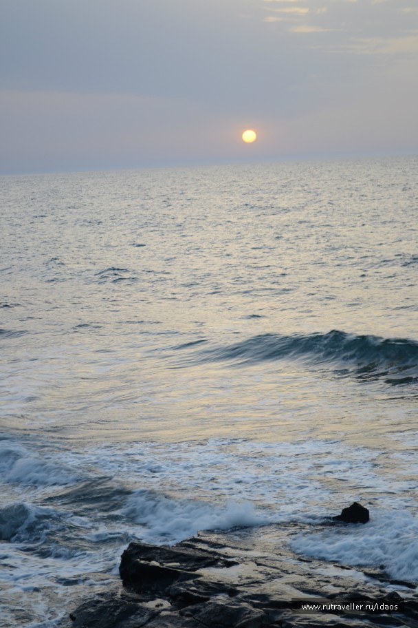 photo 773063