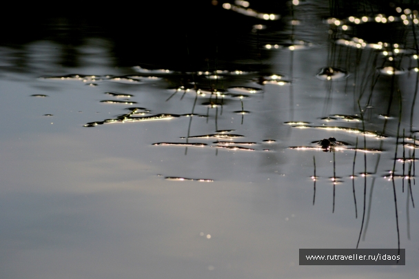 photo 785550