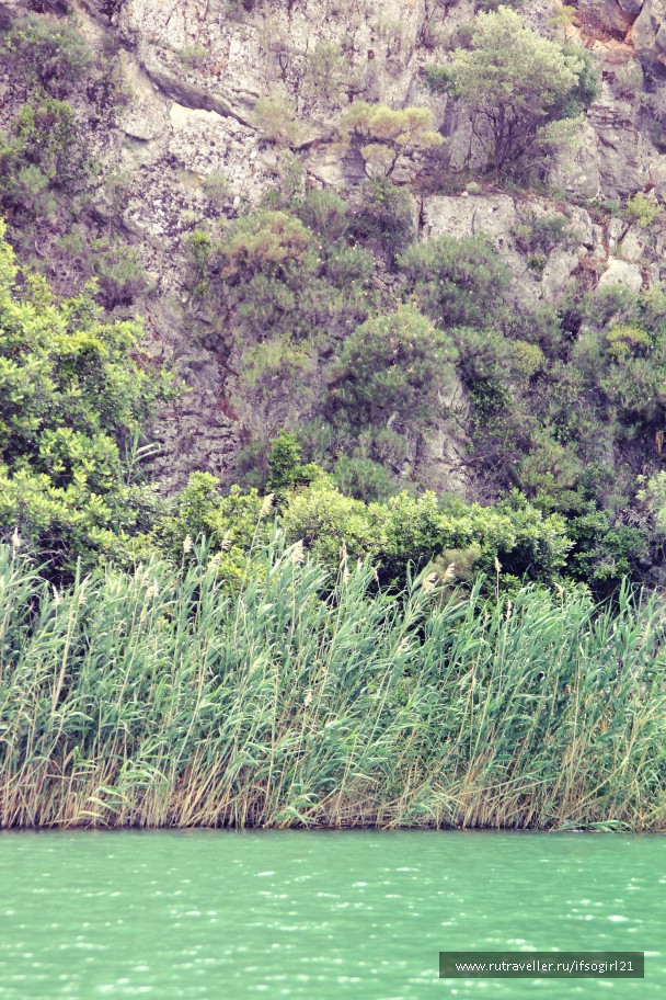 photo 793209