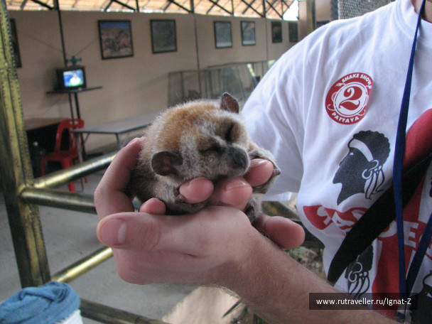 photo 23566