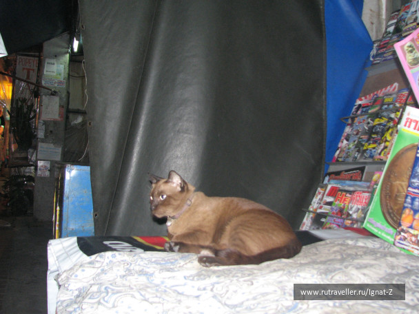 photo 23577