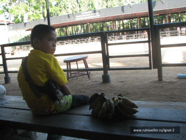 photo 23583