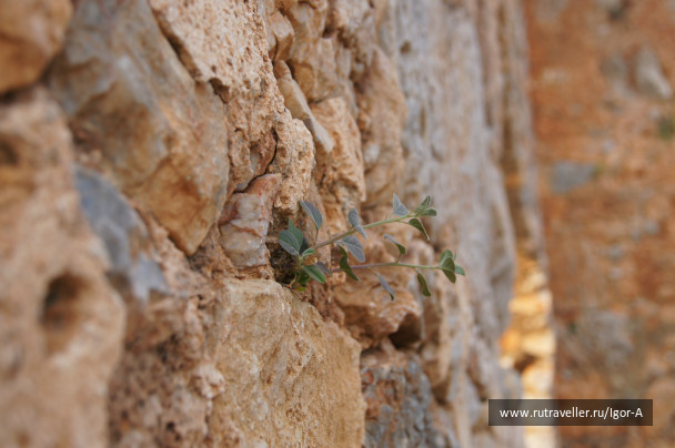 photo 469934