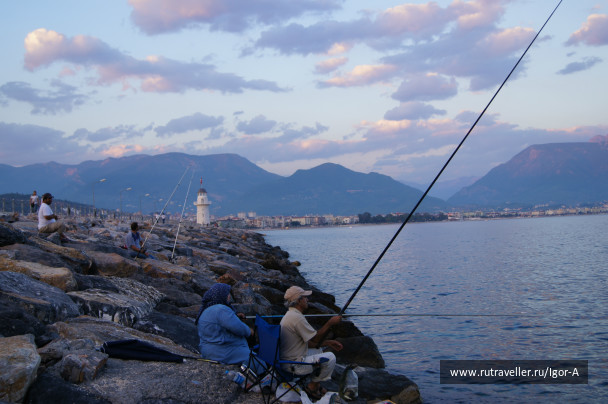 photo 467818