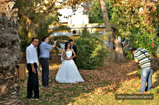 photo 467821