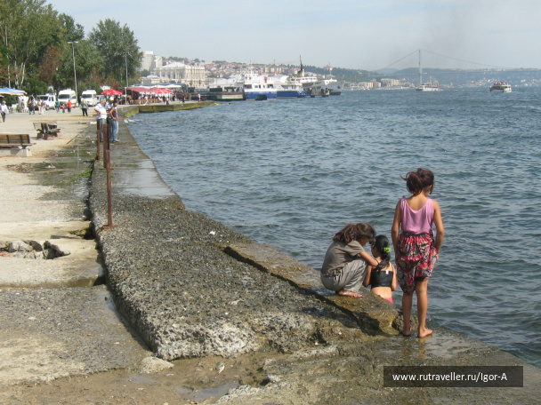 photo 468832