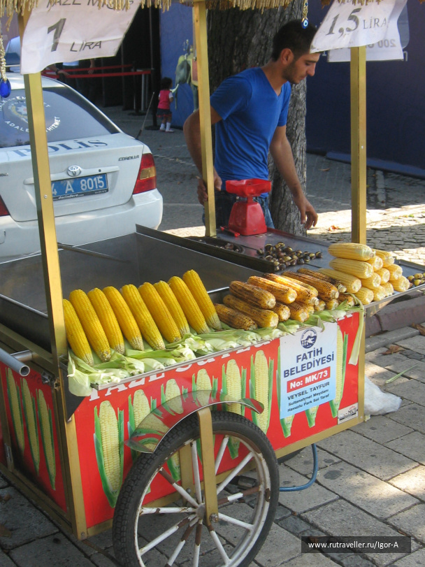 photo 468839