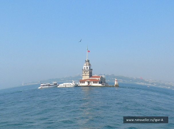 photo 468873