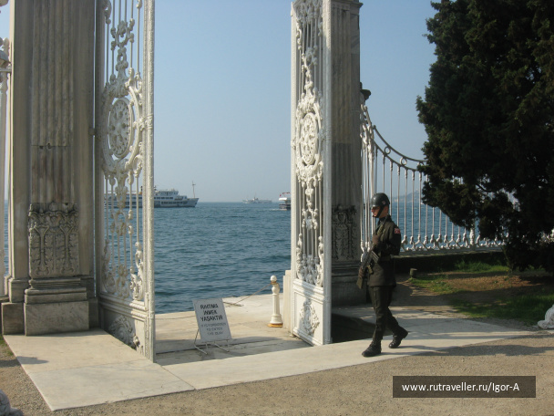 photo 468876