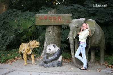 photo 109534
