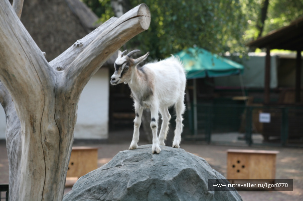 photo 123343