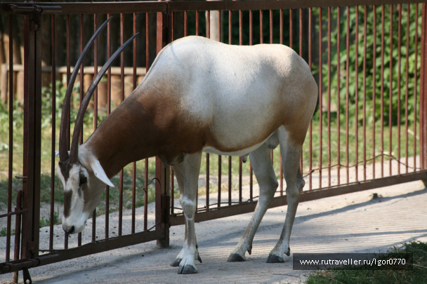 photo 123347