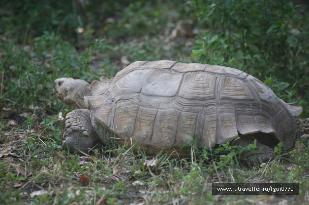 photo 123348