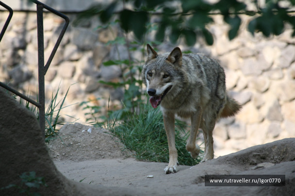 photo 123350