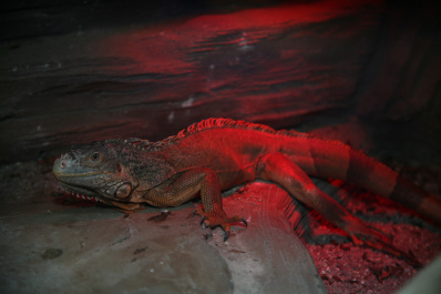photo 123461