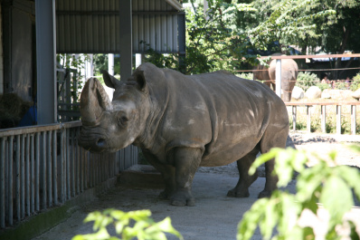 photo 123462