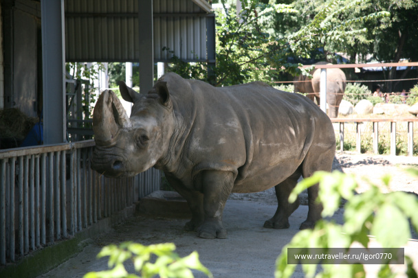 photo 123462