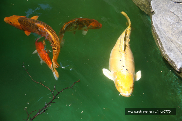 photo 123463
