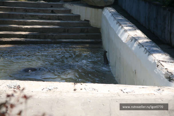 photo 123742