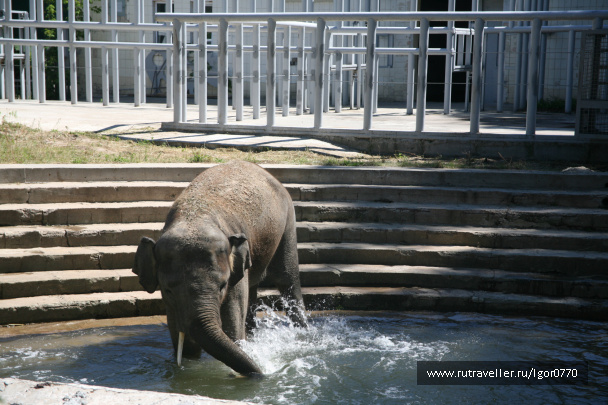 photo 123743