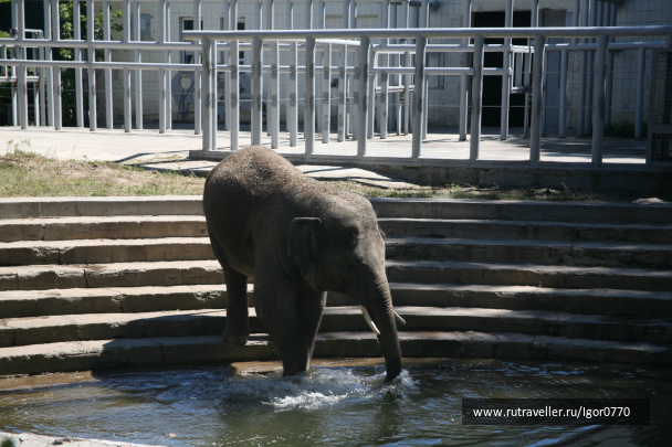 photo 123744