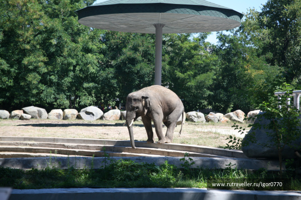 photo 123745