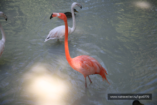 photo 123746