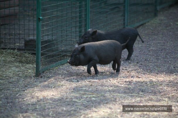 photo 125059