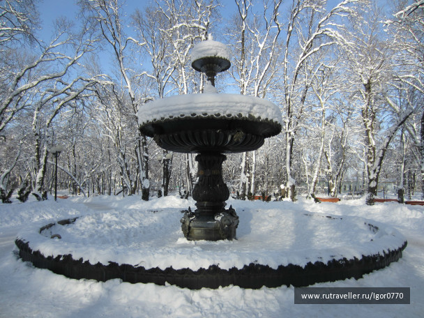 photo 218616