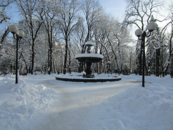 photo 218627