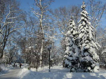 photo 218628