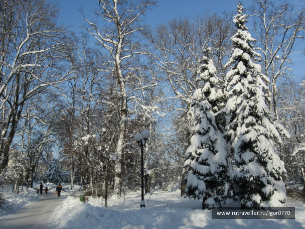 photo 218628