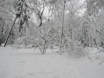 photo 218652