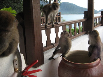 photo 117249