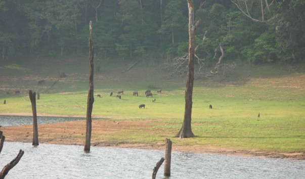 Image00153