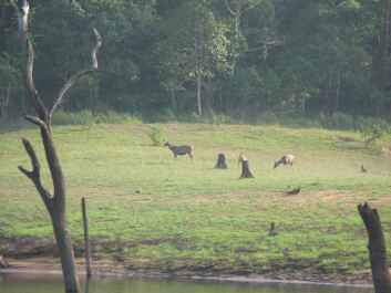 photo 117226