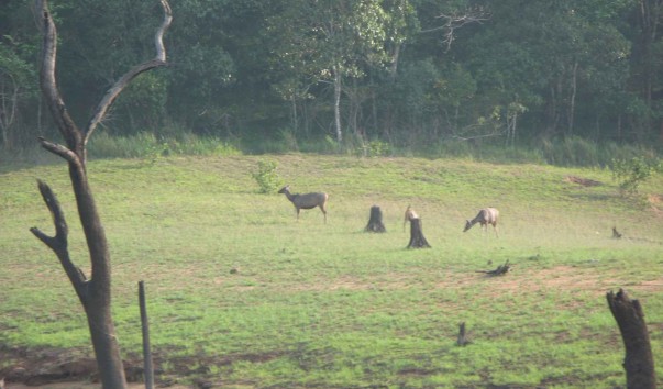 Image00156