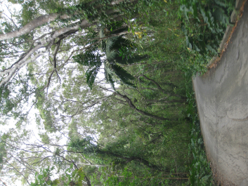 photo 694977