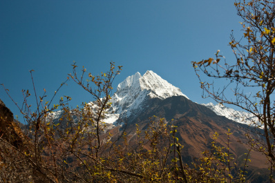 photo 258332