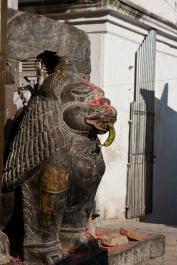 photo 272824