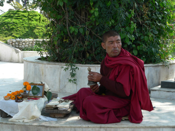 photo 274725