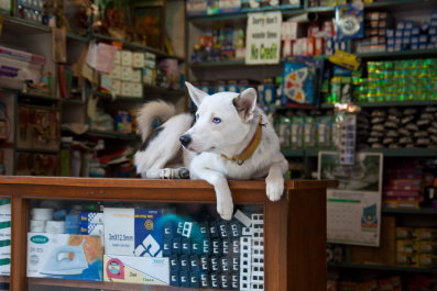 photo 283866